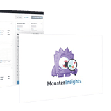 Monsterinsights-google-analüütika