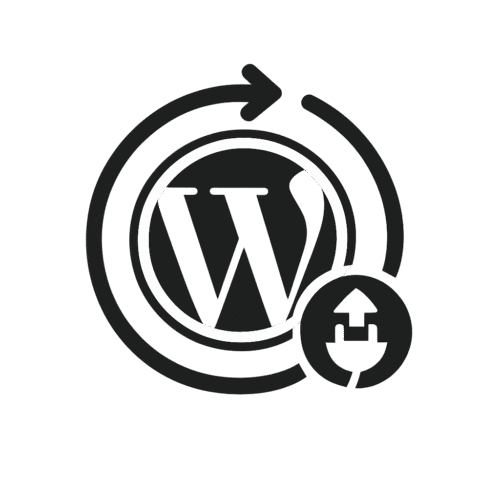 Duplicator ametlik info